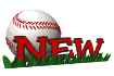 new_sw.gif