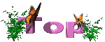 top_mc.gif