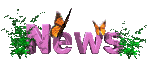 news_mc.gif