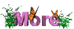 more_mc.gif