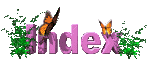 index_mc.gif