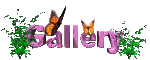 gallery_mc.gif