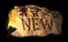new1_mb.gif