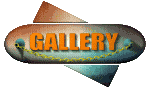 gallery_mc.gif