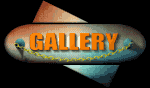 gallery_mb.gif