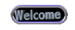 welcome_mc.gif