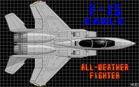 F15_2.GIF