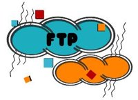 ftp_hr.jpg