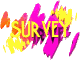 survey_mw.gif