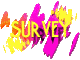 survey_mc.gif