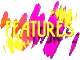 features_mc.gif