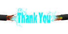 thankyou_sw.gif