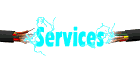 services_sw.gif