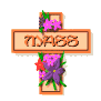 mass_sw.gif