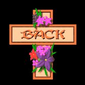 back_lb.gif