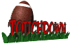 touchdown_sw.gif