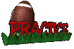 practice_sc.gif