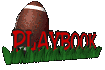 playbook_sc.gif