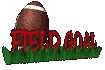 fieldgoal_sc.gif