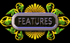 features_mb.gif
