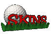 skins_sc.gif