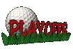 playoffs_sc.gif
