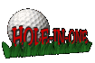 holeinone_sc.gif