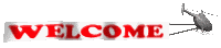 welcome_mc.gif