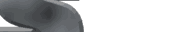sponsors_mw.gif