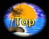 top_mb.gif