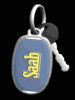 saab_mb.gif