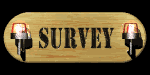 survey_mb.gif