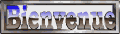 bienvenue_mw.gif