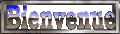 bienvenue_mc.gif