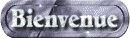bienvenue_mw.gif