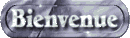 bienvenue_mc.gif
