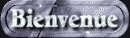 bienvenue_mb.gif