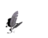 sortie_mw.gif