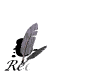 rechercher_mw.gif