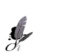 ouvert_mw.gif