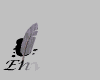 envoyer_mgry.gif