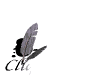 cliquezici_mw.gif