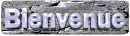 bienvenue_mw.gif