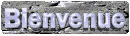 bienvenue_mc.gif