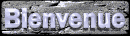 bienvenue_mb.gif