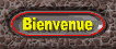 bienvenue_mw.gif