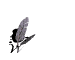 weiter_mw.gif