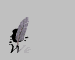 weiter_mgry.gif