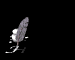 hilfe_mb.gif