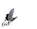 gastebuch_mw.gif